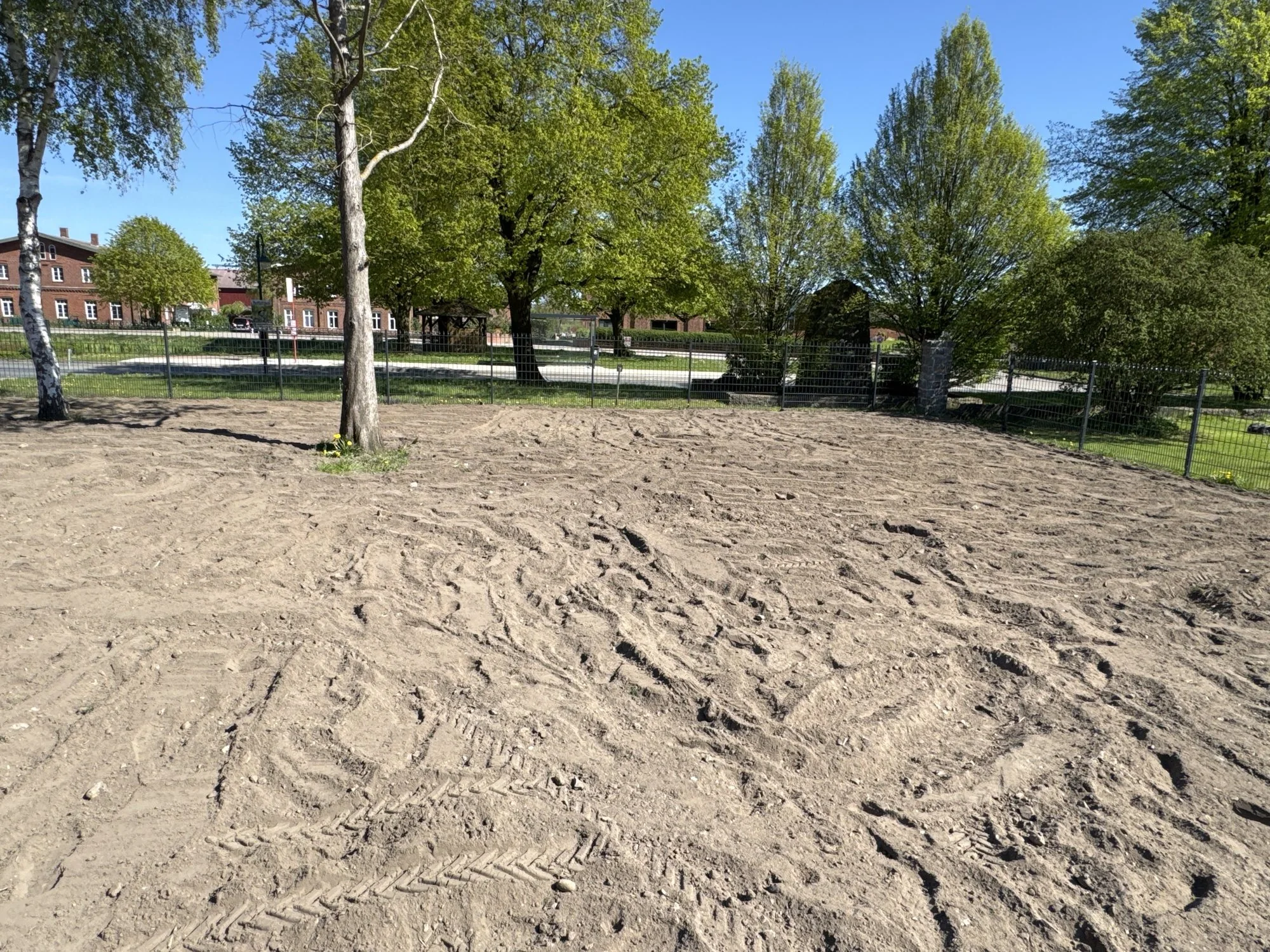 Vorbereiteter Boden zwischen Bäumen für die Rasenneuanlage
