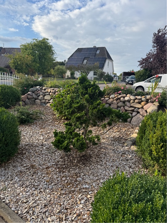 Friesenwall aus Feldsteinen an einem bepflanzten Beet mit Rindenmulch